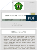 PPT DSS INTROP.pptx