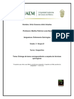 Sistema tegumentario: estructura histológica de la piel