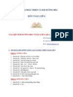 13 Chuyen de Boi Duong HSG Toan 6 PDF