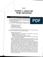 Gestion y Control Riesgo Operacional