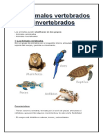 Vertebrados e Invertebrados