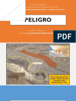 1. PELIGRO.pdf