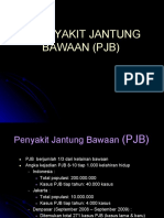 PJB.pdf