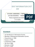 Management Information System 17bhm1216