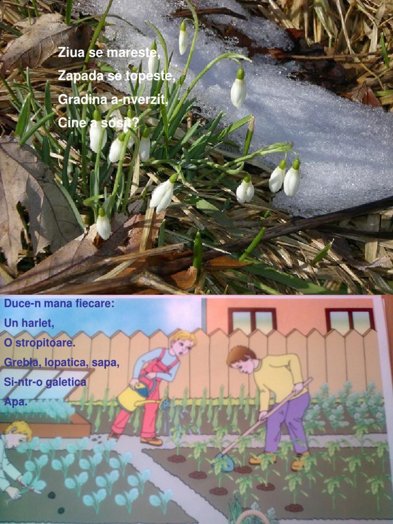 Primavara in Gradina | PDF