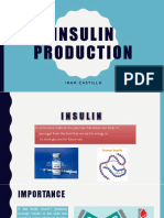 Insulin Production: Iramcastillo