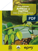 Guia_Ilustrada_canon_del_rio_Porce_Antioquia_Anfibios_y_reptiles.pdf