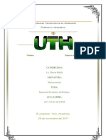 informe micro casi final.docx