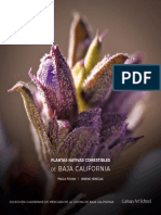 Plantas Nativas Comestibles Issuu PDF