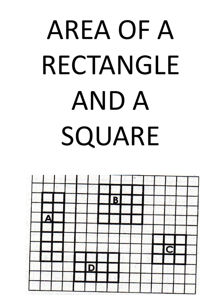 Rectangle and Square Area PDF