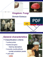 Kingdom: Fungi: Domain Eukarya