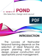 Fish Pond