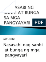 Pagsasabi NG Sanhi at Bunga Sa Mga Pangyayari