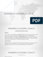 Business and Culture Coach