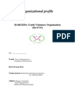 Organizational Profile: HARGEISA Youth Voluntary Organization (Hayvo)