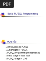 Basic PL-SQL