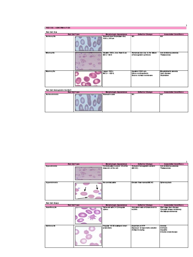 RBC&WBC Abnormalities | PDF | Red Blood Cell | Anemia