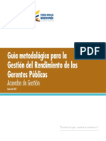 Guia Metodologia para La Gestion Del Rendimiento de Los Gerentes Publicos 2 PDF