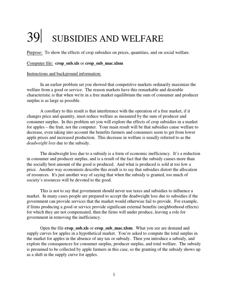 Subsidies And Welfare Deadweight Loss Due To The Subsidy Pdf