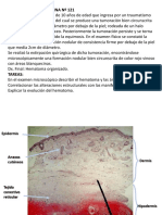 Examen Practico de Patología 2 PDF