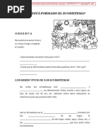 Cuaderno Cadena Alimenticias-Repaso Ecosistemas 13pg PDF