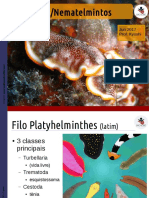 Platelmintos