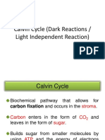 Calvin Cycle (Dark Reactions / Light Independent Reaction)