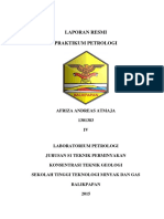 Laporan Resmi Praktikum Petrologi