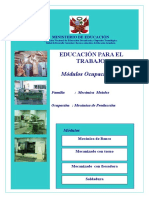 MODULOS  OCUPACIONALE D EBR.doc