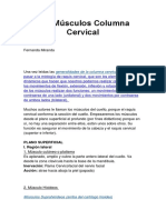 Musculos Columna Cervical