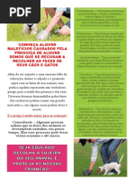 Riscos sobre os dejetos de cães