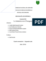 Unidad XIX - Industria en el Paraguay.docx.docx.pdf