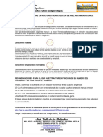 Pequena Lecion de Extractores de Miel PDF