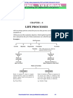 10 Science Notes 06 Life Processes 11