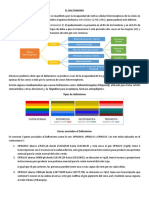 Reporte Daltonismo