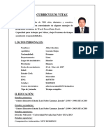 Curriculum Vitae Documentado RNP Albert Carmin