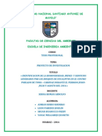 Identificación de la biodiversidad de bosques de eucaliptos