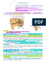 272598886-Carpeta-Otorrino.pdf