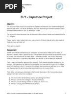 Fly - Capstone Project: Objective