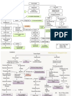 Trauma Kepala Pathway