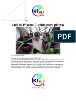 Anel de Plasma Liquido PDF