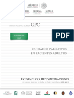 Paliativo PDF