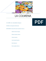 Investigacion de Mercados de La Colmena Fiinal