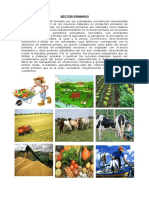 270271195 Sector Primario Secundario y Terciario Agricultura en Guatemala
