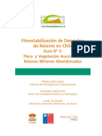 Fitoestabilización Manual Chile 3 PDF