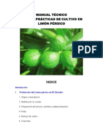 manual limon persico.pdf