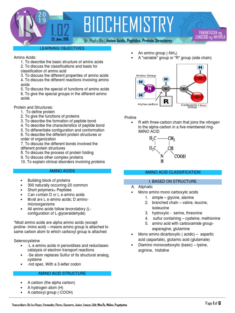 Biochemistry Amino Acids Amino Acid Beta Sheet