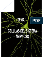 CELULAS DEL SISTEMA NERVIOSO.pdf