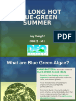 Jay Wright The Long Hot Blue-Green Summer