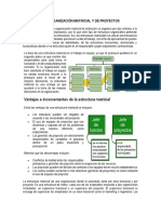 Estructura Matricial y de Proyectos, Organizacion sin limites y Organizacion Virtual.docx